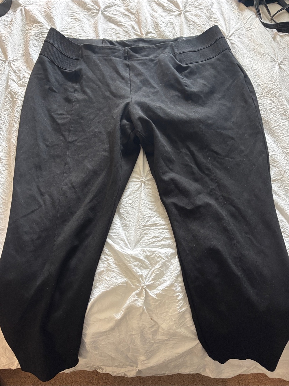 Lane Bryant Black Pull-On Pants